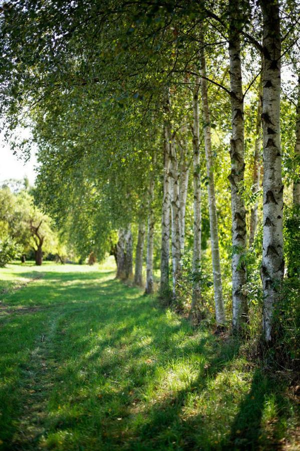 Obere Muehle - Scheunenwohnung Mitten Im Gruenen Baunach Экстерьер фото
