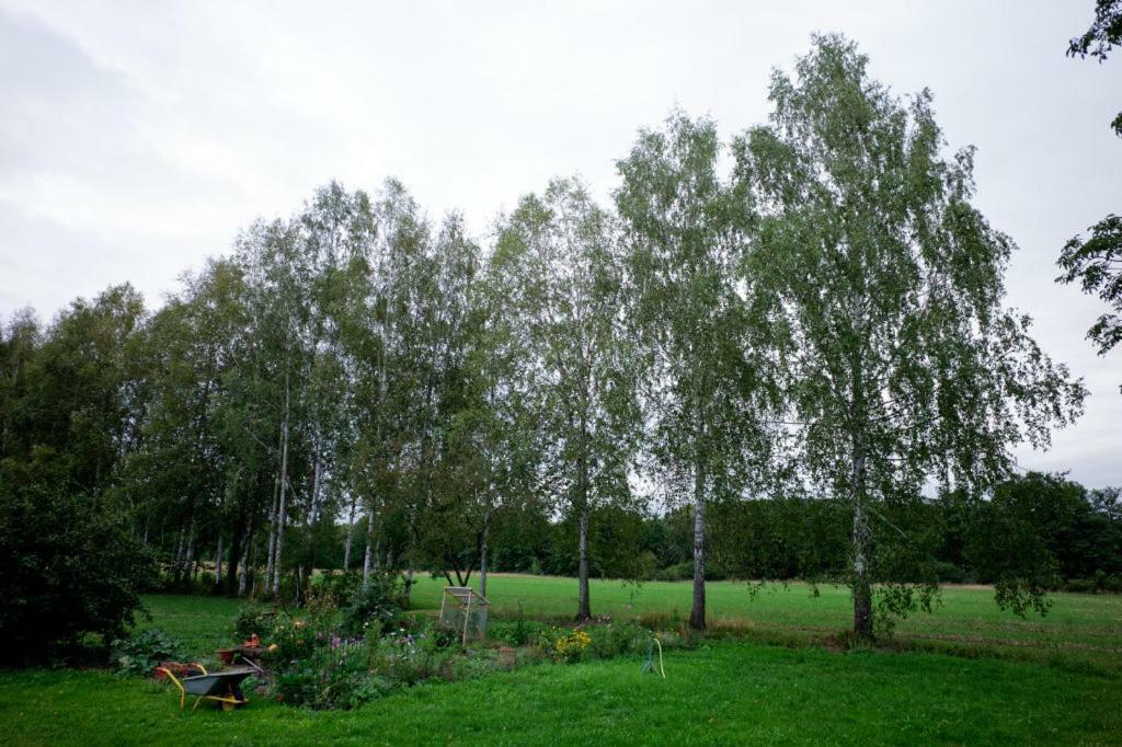 Obere Muehle - Scheunenwohnung Mitten Im Gruenen Baunach Экстерьер фото